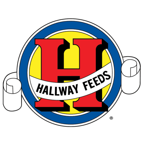 Hallway Feeds logo