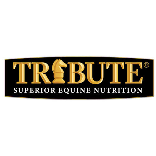 Tribute superior equine nutrition logo